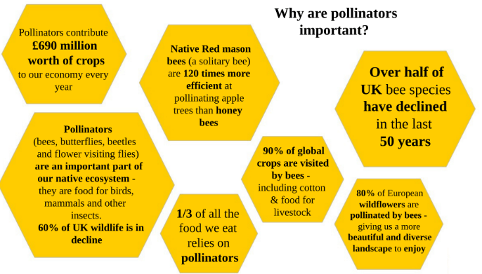 Diagram made up of 7 hexagons each containing a reason why pollinators are so important.